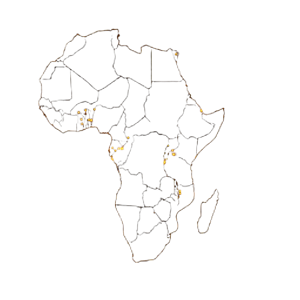 Map of Africa showing Jumia trade network across major cities